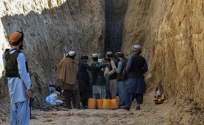 Nearly A Million Afghans Shed Jobs Given That Taliban Takeover: Record