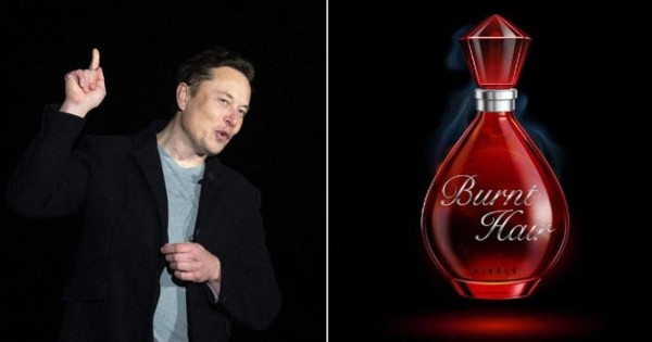 Elon’s Musk: Netizens Turn Twitter Into Memefest As Elon Musk Launches Perfume ‘Burnt Hair’