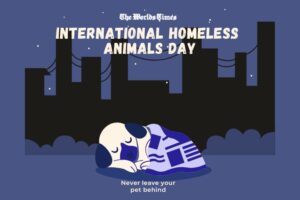 International Homeless Animals Day – August 17, 2024