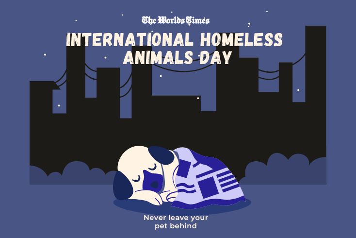 International Homeless Animals Day