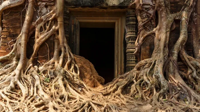 Prasat Pram is a vine-strangled resthouse found along the East Royal Road