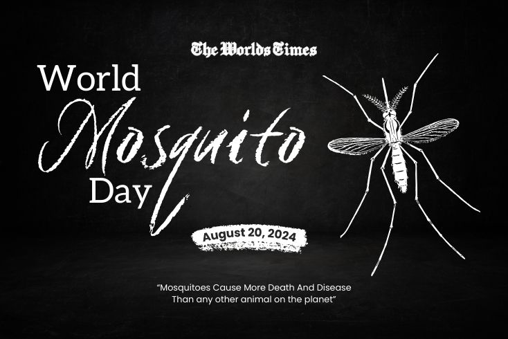 World Mosquito Day 2024