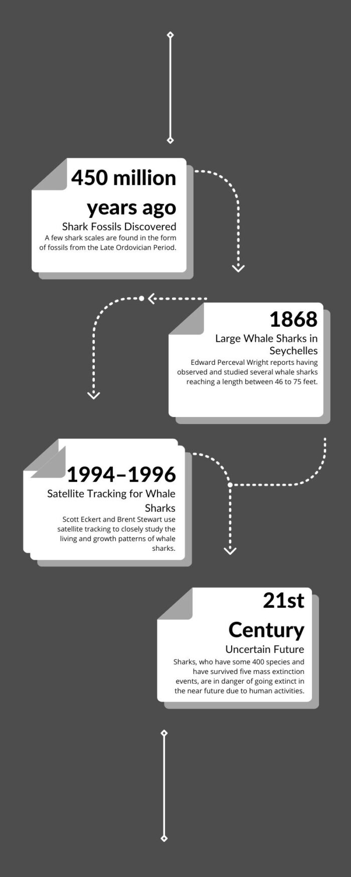 International Whale Shark Day timeline