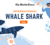 International Whale Shark Day