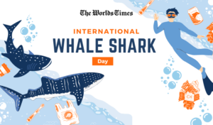 International Whale Shark Day – August 30, 2025